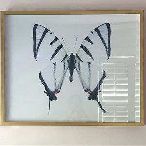 Meet your Posher, Dana